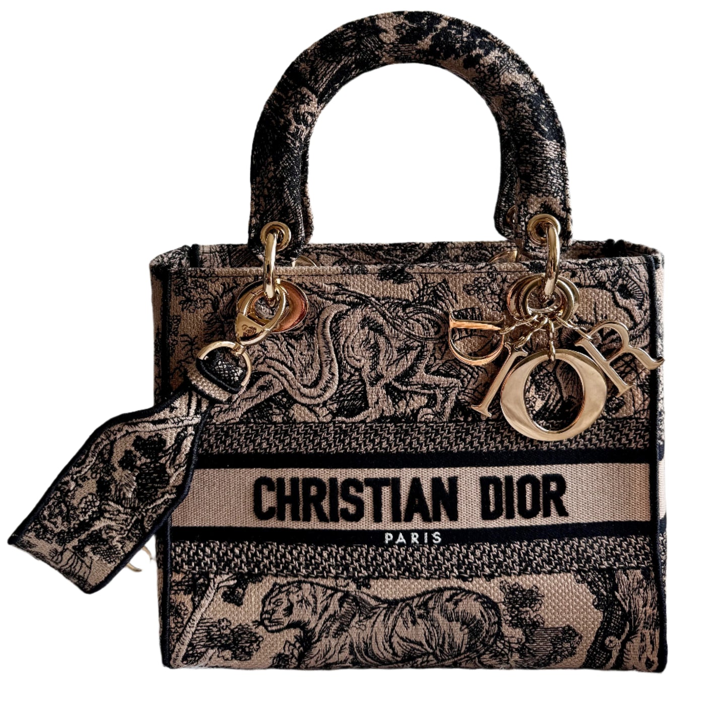 Christian Dior Lady D-Lite Medium