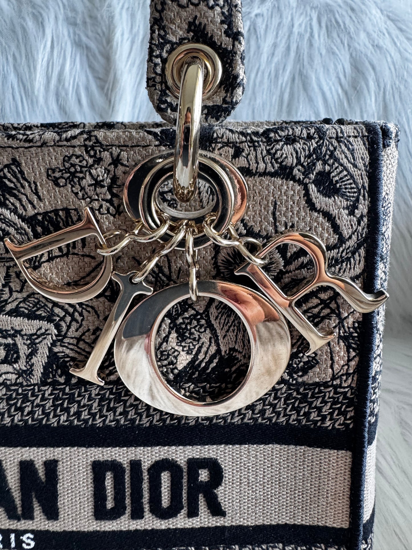 Christian Dior Lady D-Lite Medium