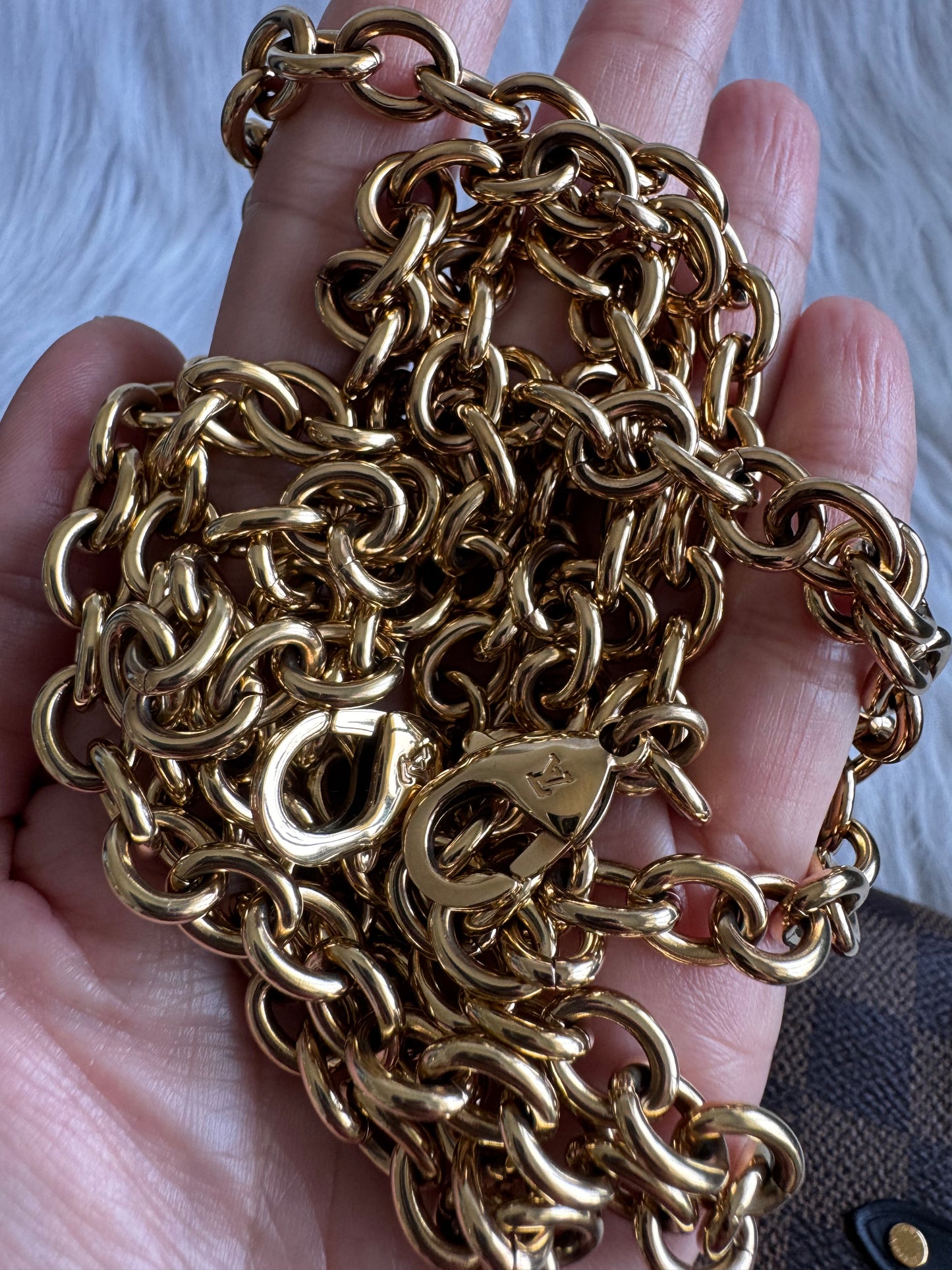 Louis Vuitton Vavin Wallet on Chain