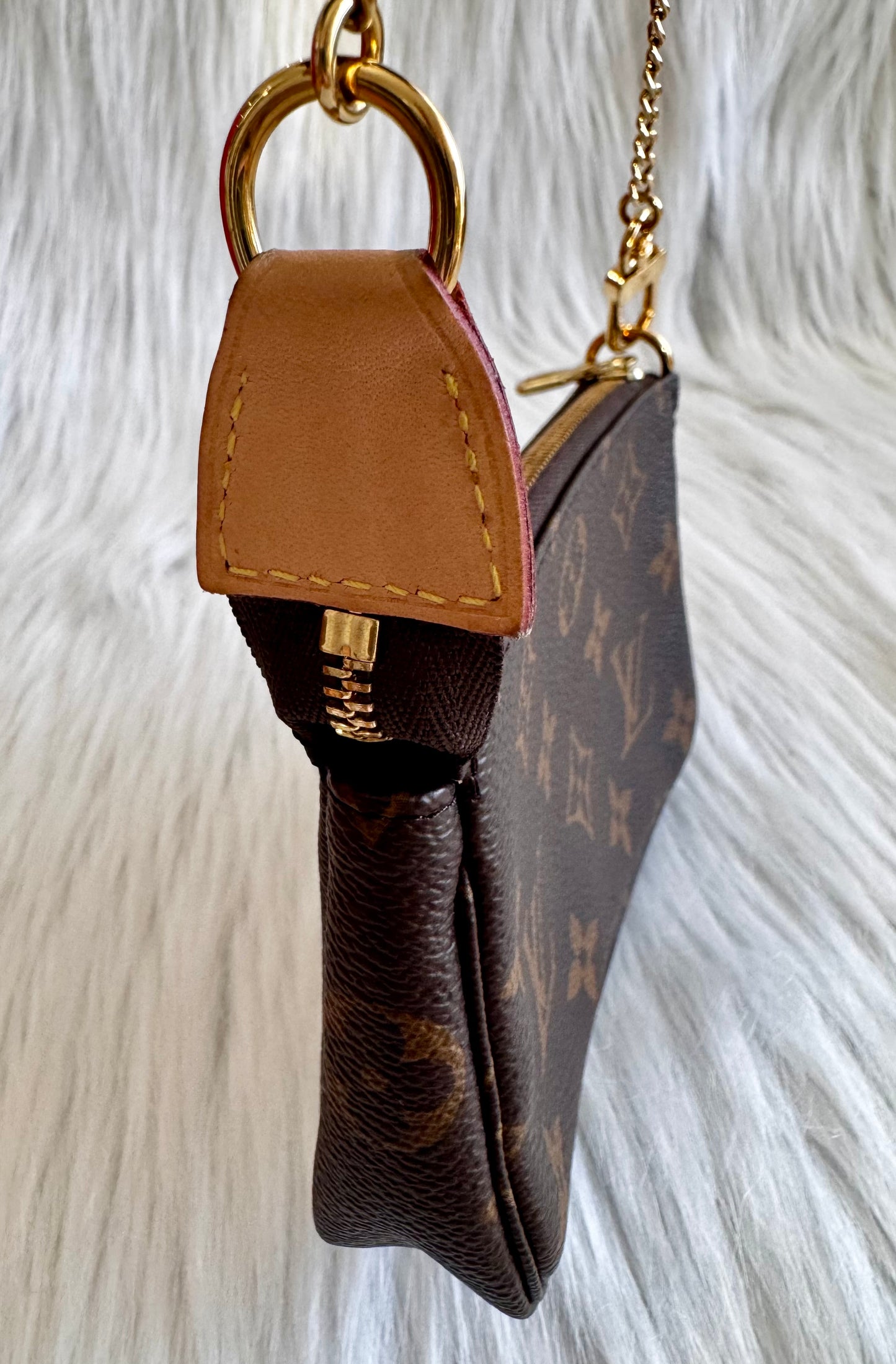 Louis Vuitton Monogram Mini Pochette Accessoires