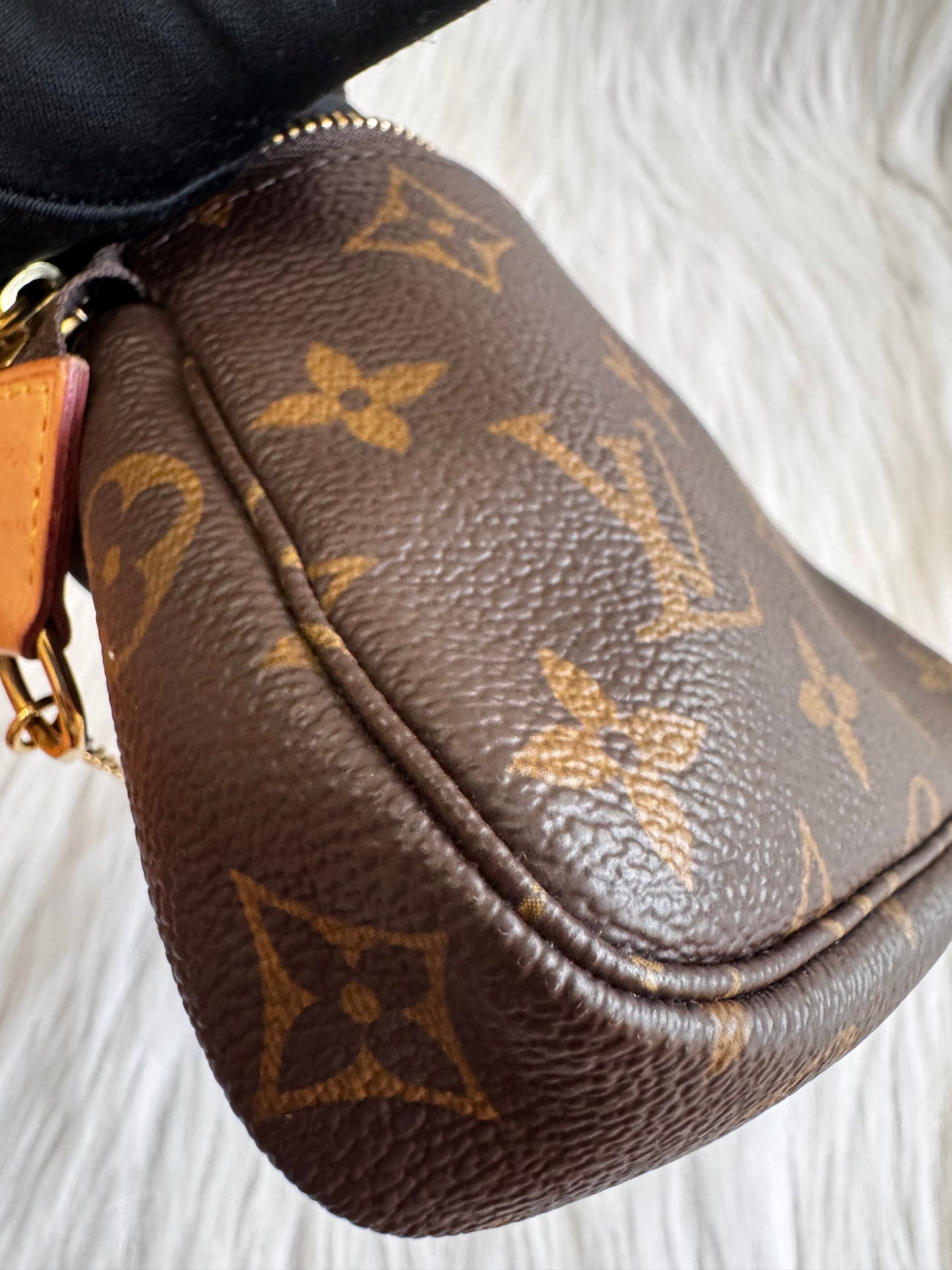 Louis Vuitton Monogram Mini Pochette Accessoires