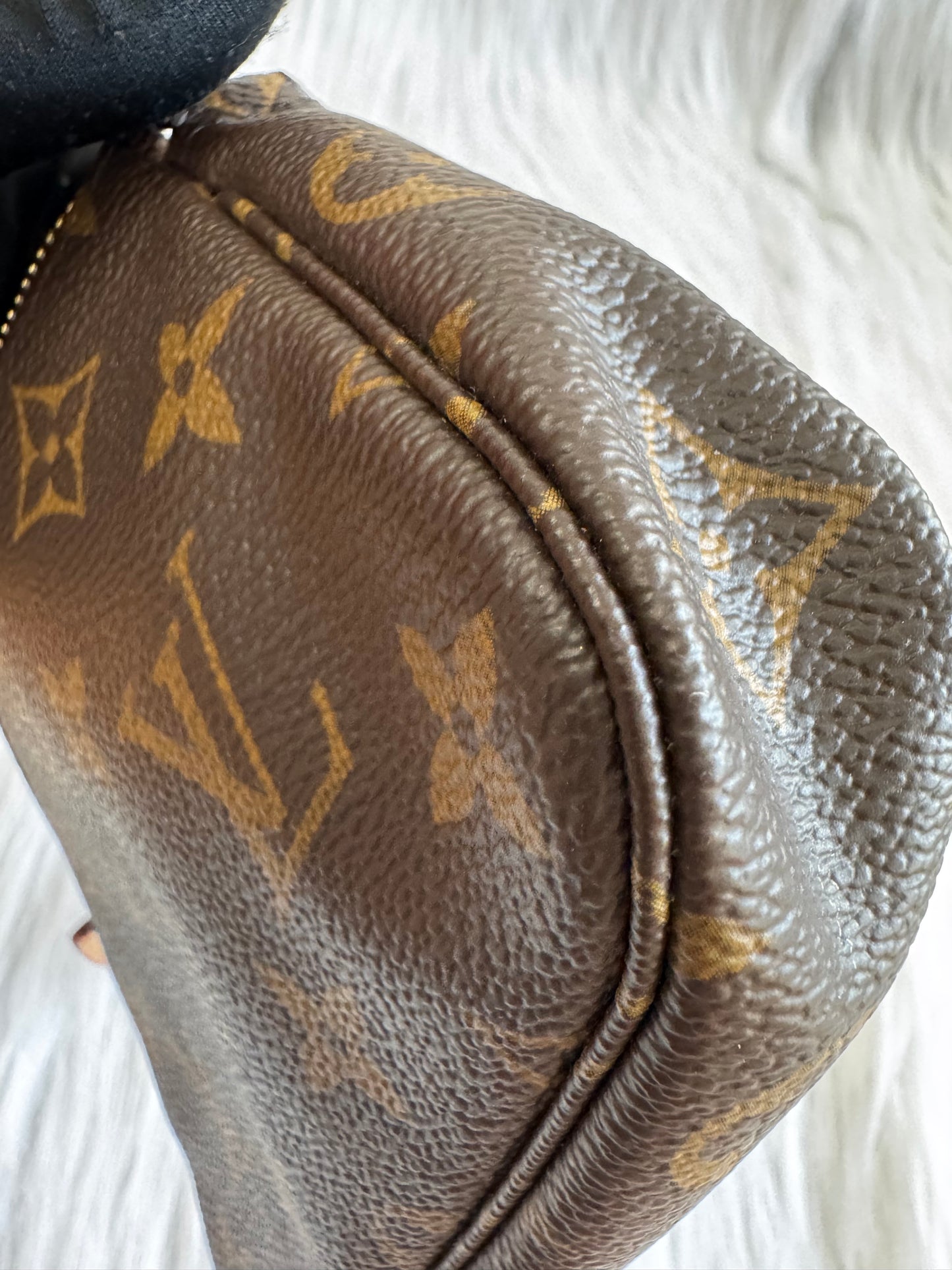 Louis Vuitton Monogram Mini Pochette Accessoires