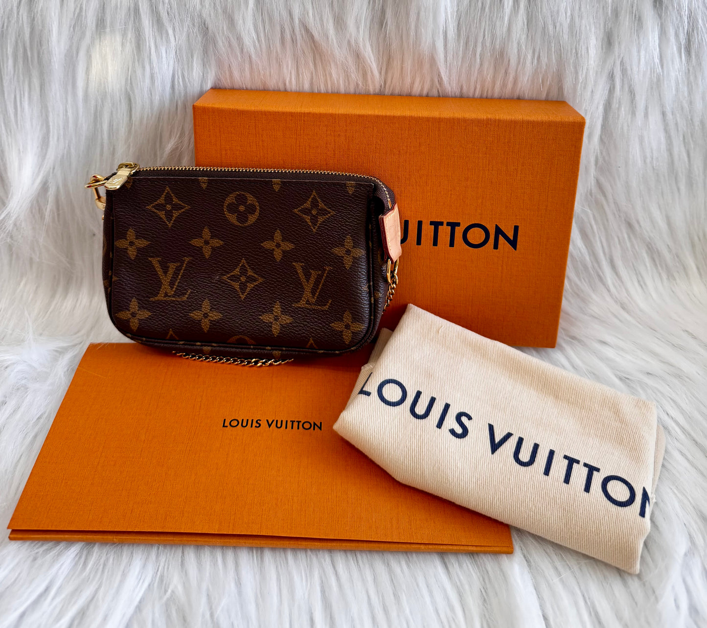 Louis Vuitton Monogram Mini Pochette Accessoires