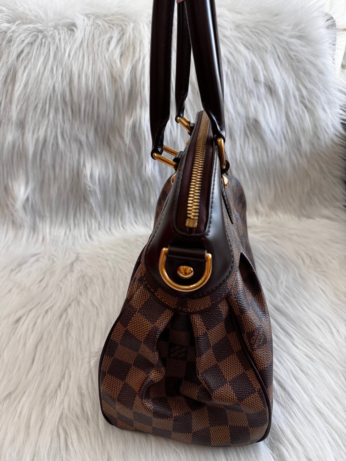 Louis Vuitton Damier Ebene Trevi PM
