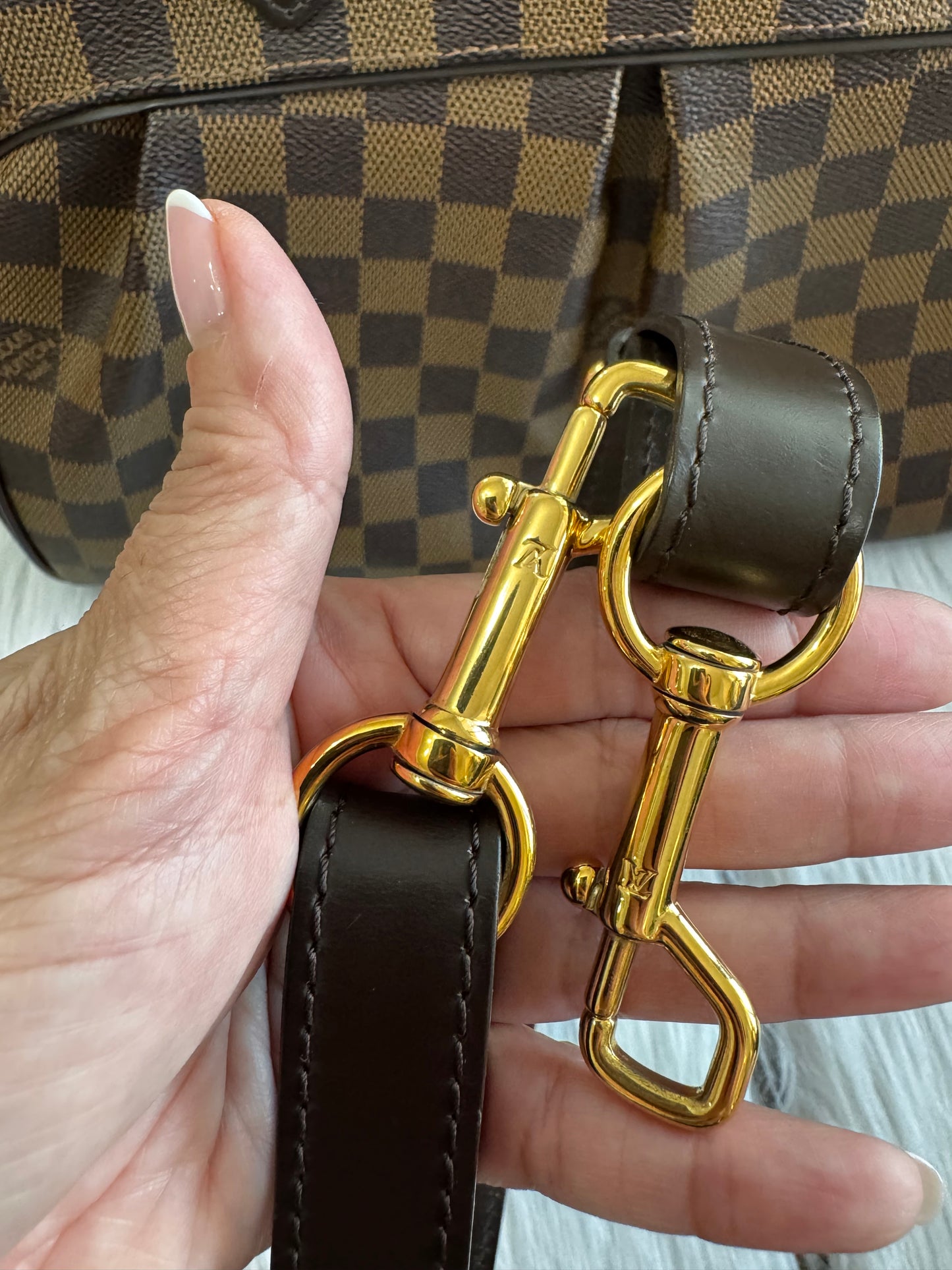 Louis Vuitton Damier Ebene Trevi PM