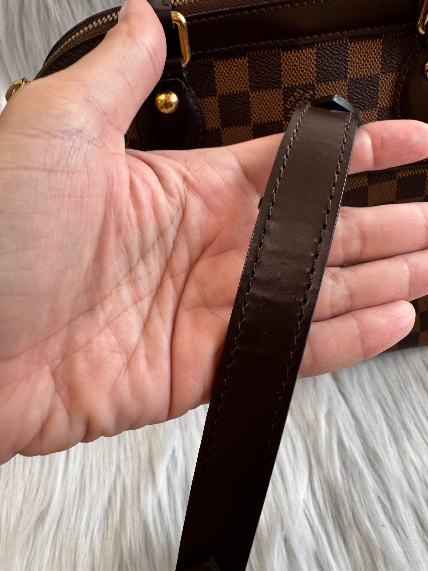 Louis Vuitton Damier Ebene Trevi PM