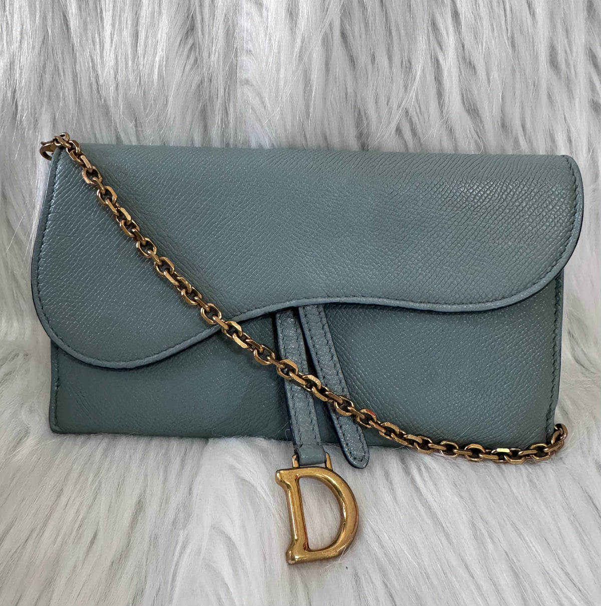 Christian Dior Saddle Sage Green Wallet on Chain