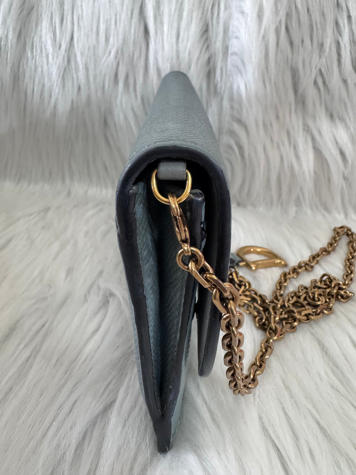 Christian Dior Saddle Sage Green Wallet on Chain