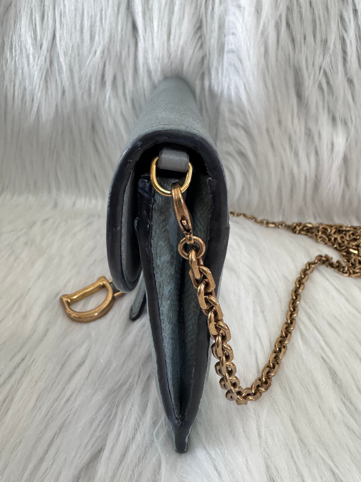 Christian Dior Saddle Sage Green Wallet on Chain