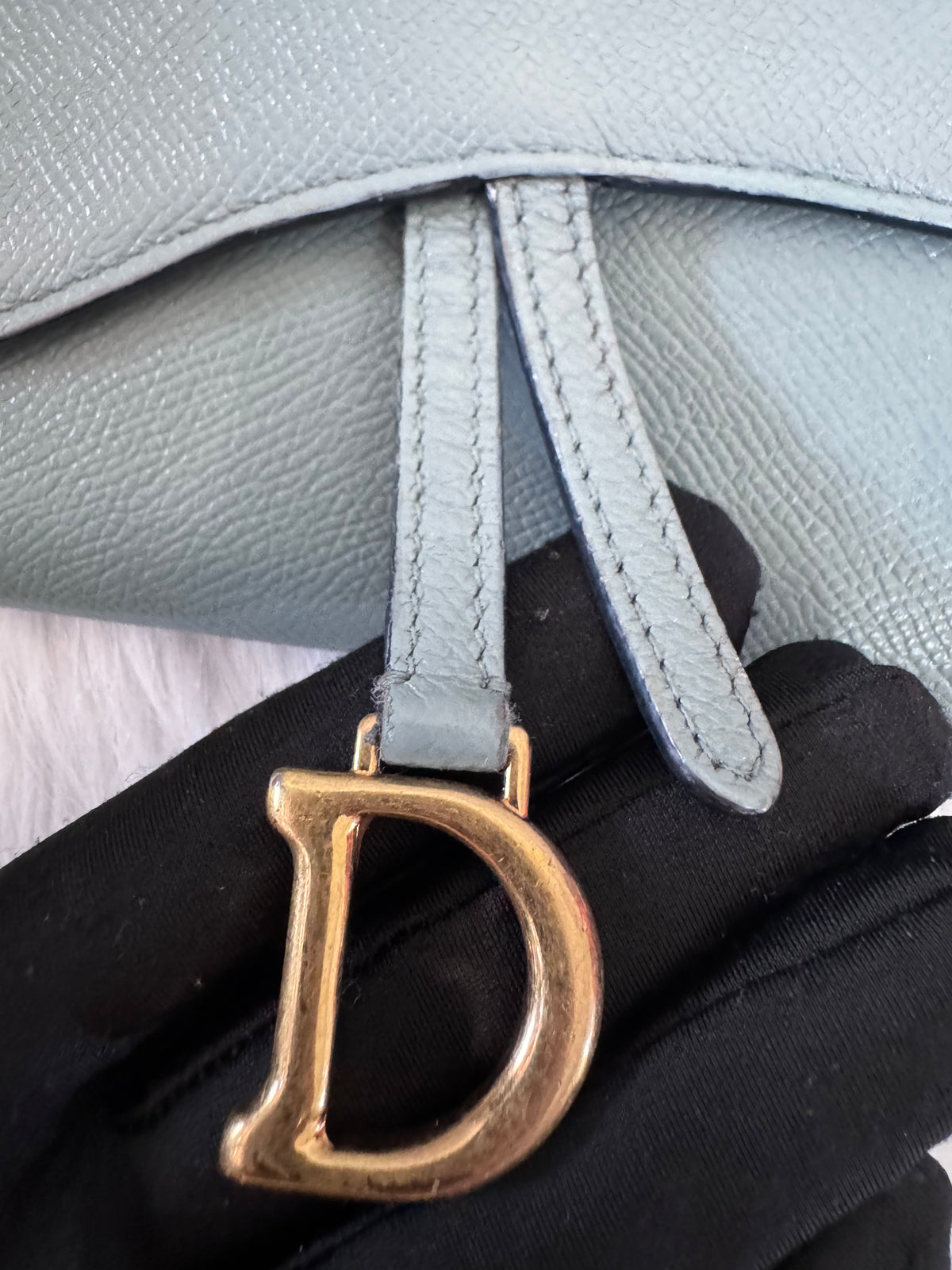 Christian Dior Saddle Sage Green Wallet on Chain