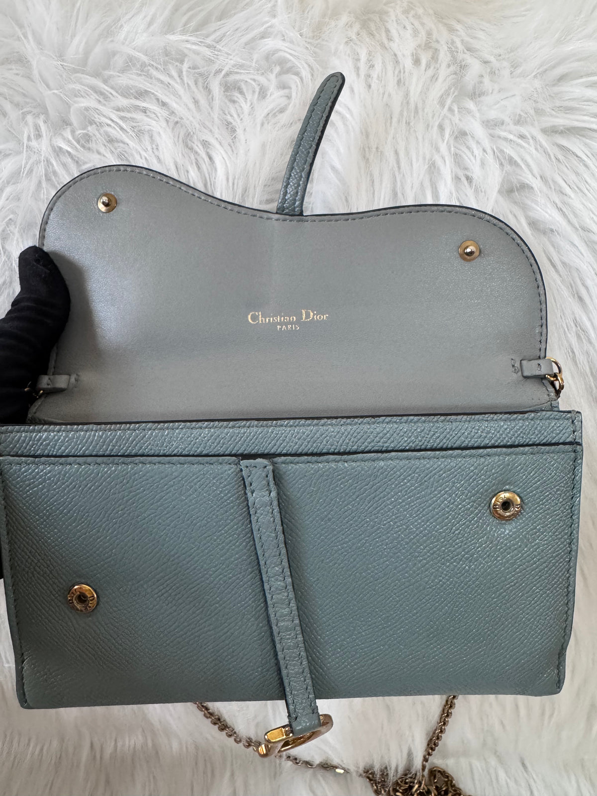 Christian Dior Saddle Sage Green Wallet on Chain