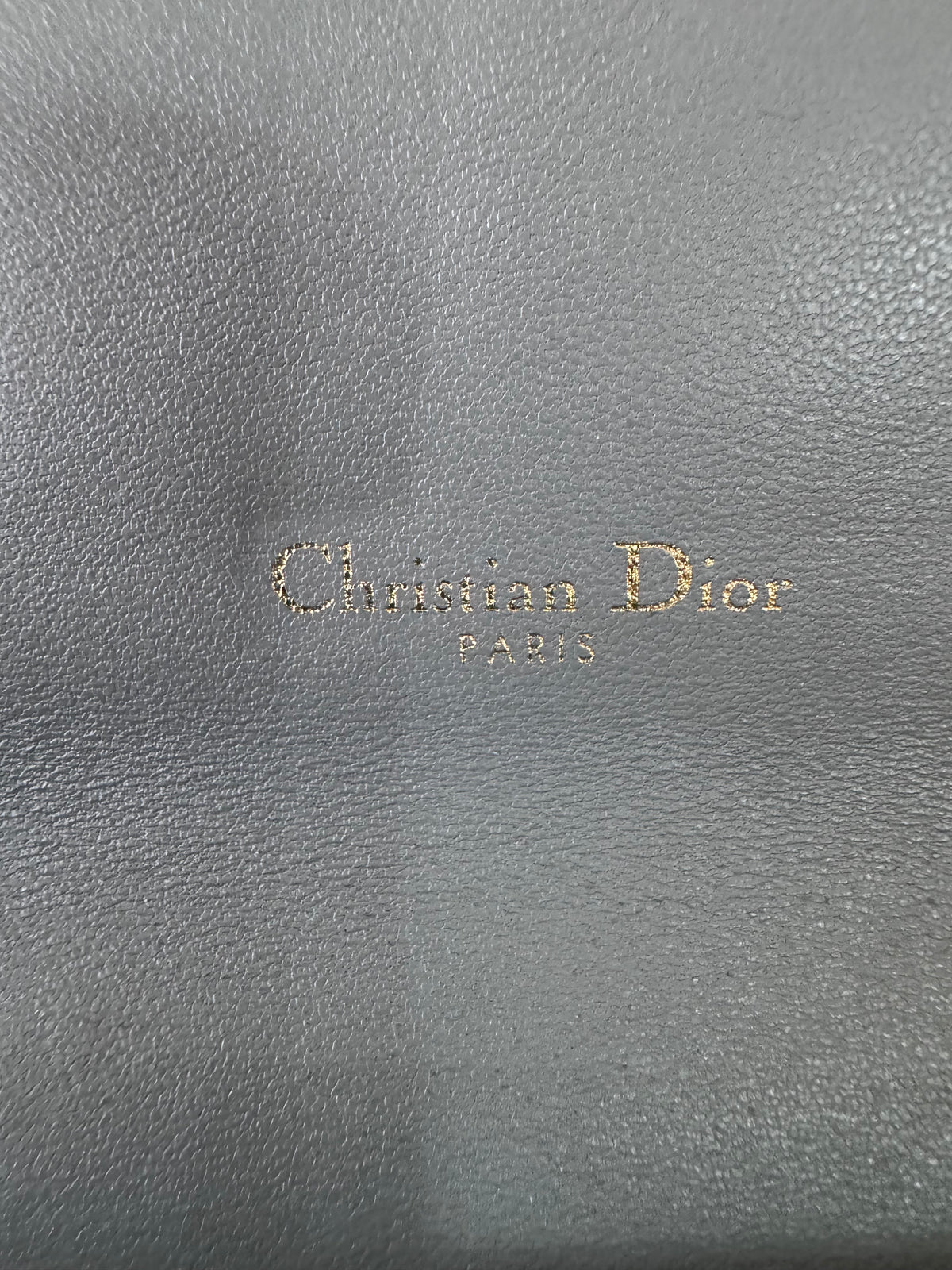 Christian Dior Saddle Sage Green Wallet on Chain