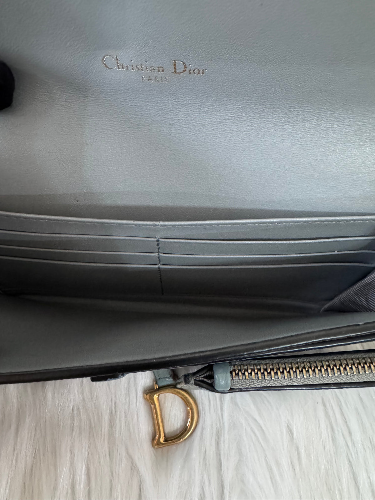 Christian Dior Saddle Sage Green Wallet on Chain
