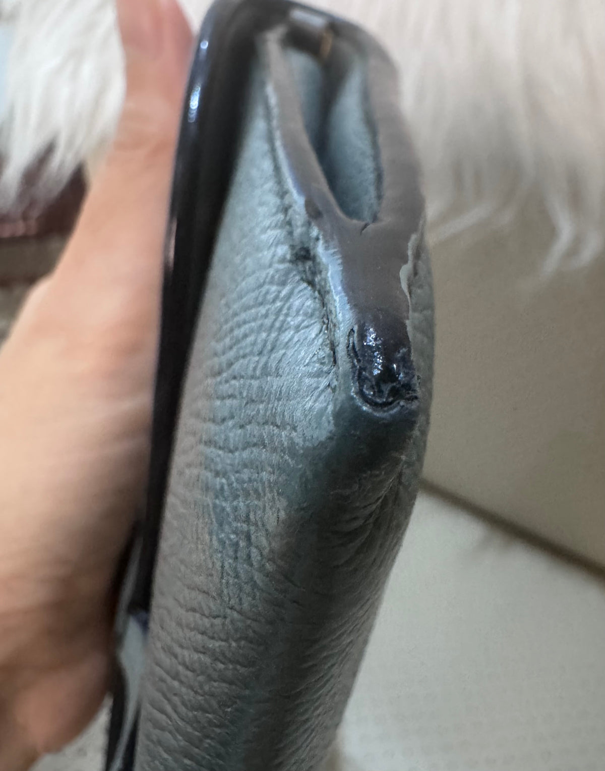 Christian Dior Saddle Sage Green Wallet on Chain