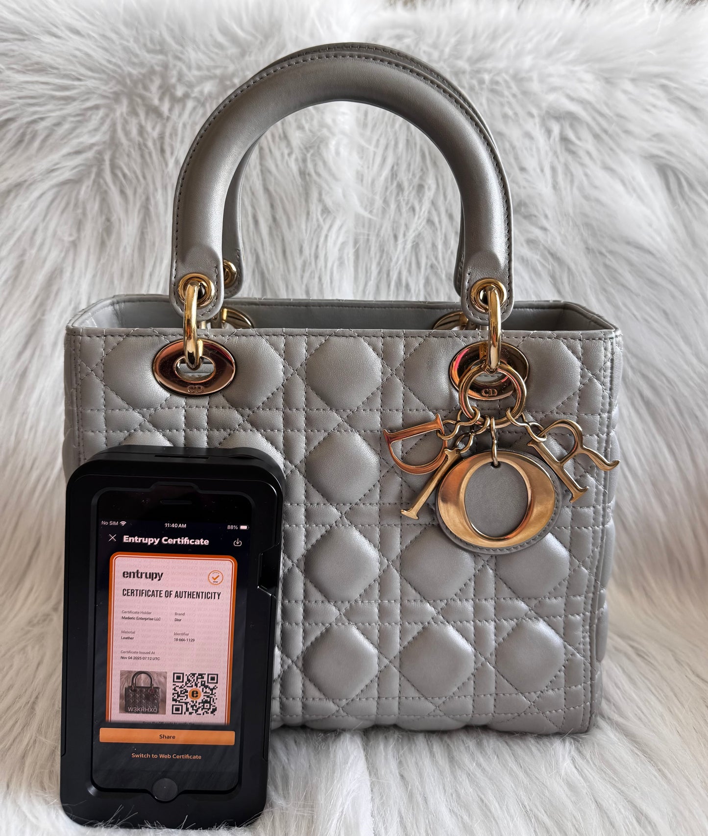 Christian Dior Lady Dior Medium Gray Pearlescent