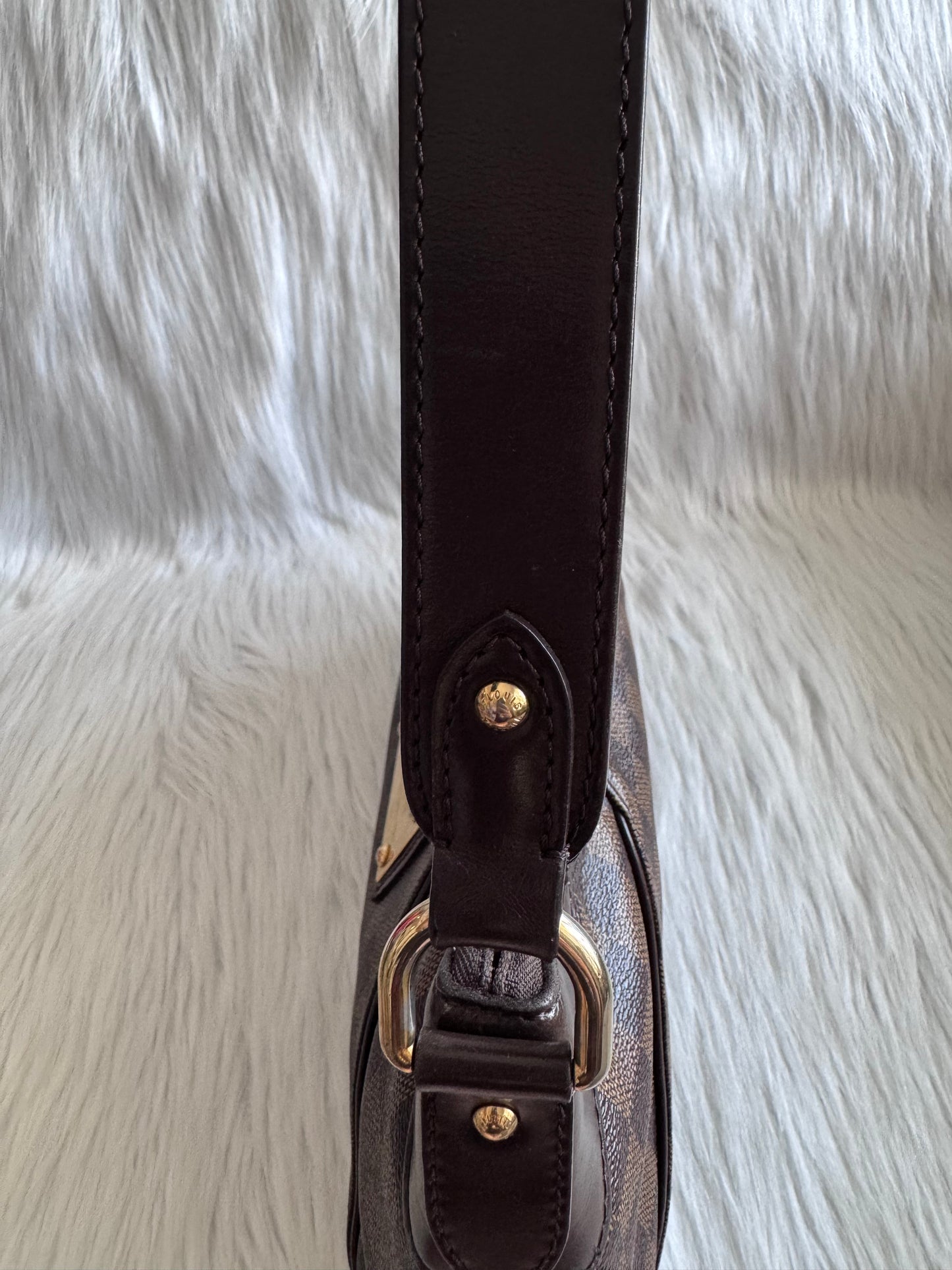 Louis Vuitton Damier Ebene Thames PM Shoulder Bag