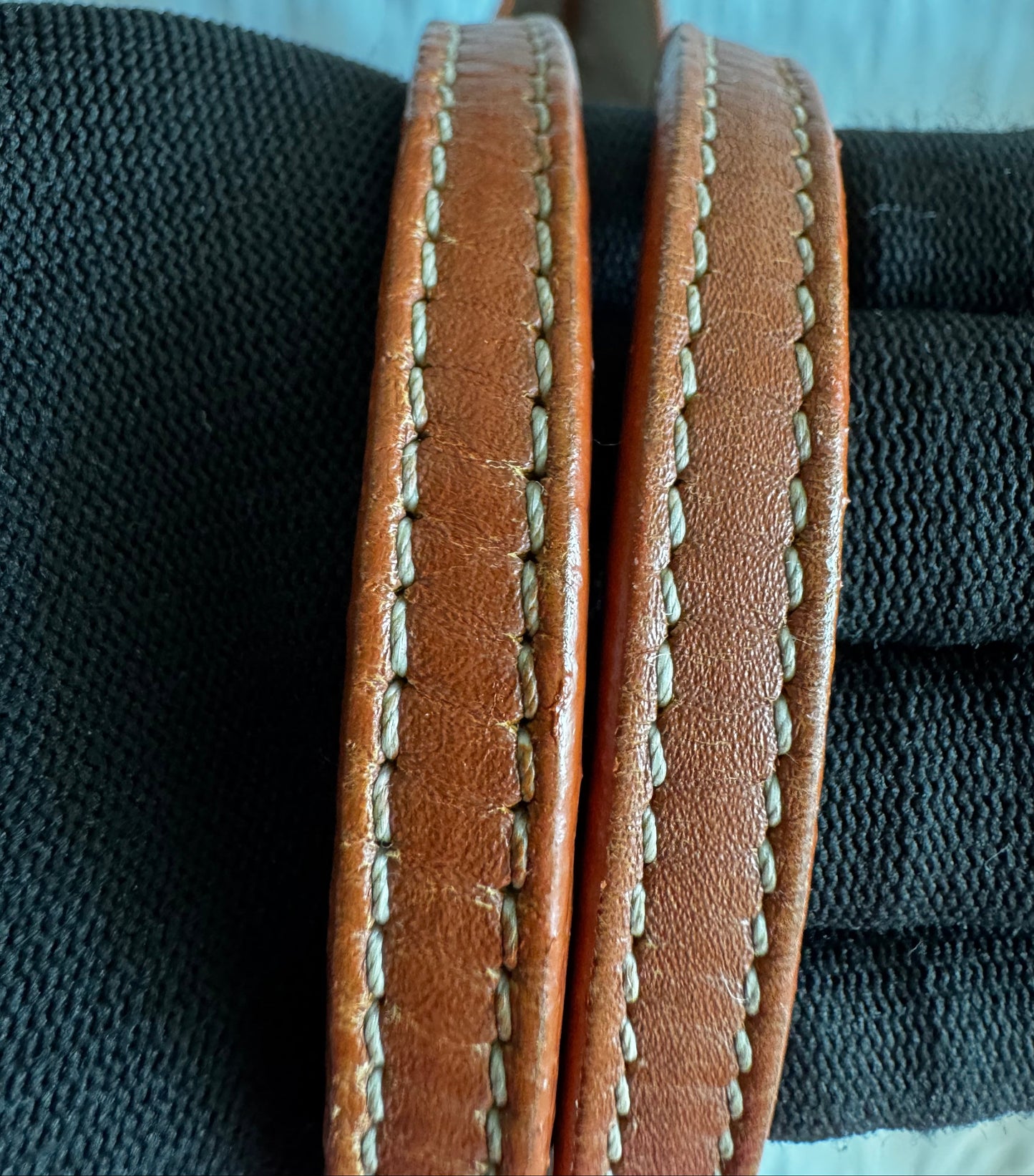 Goyard Saint Louis PM Tote Bag -Black & Tan