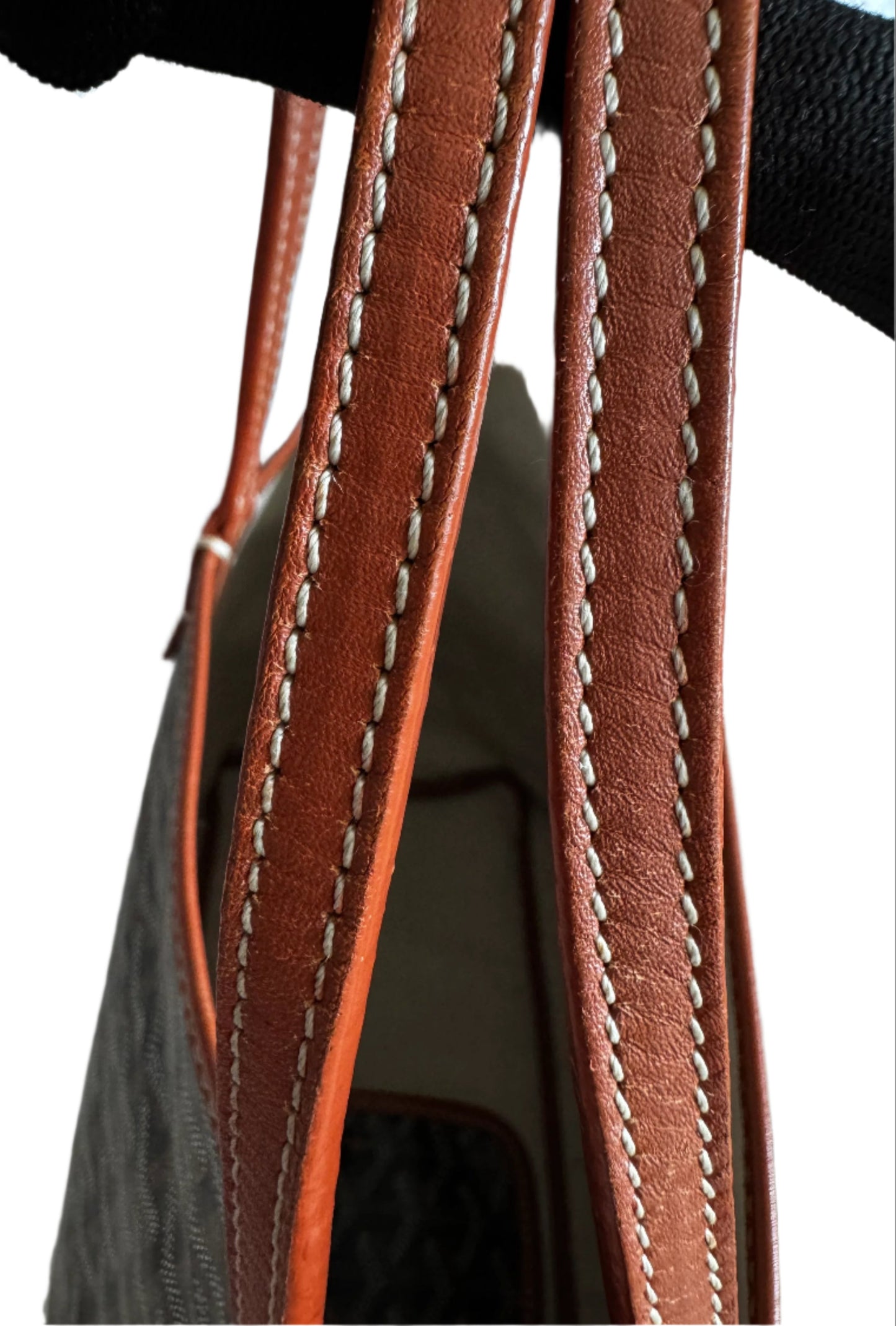 Goyard Saint Louis PM Tote Bag -Black & Tan