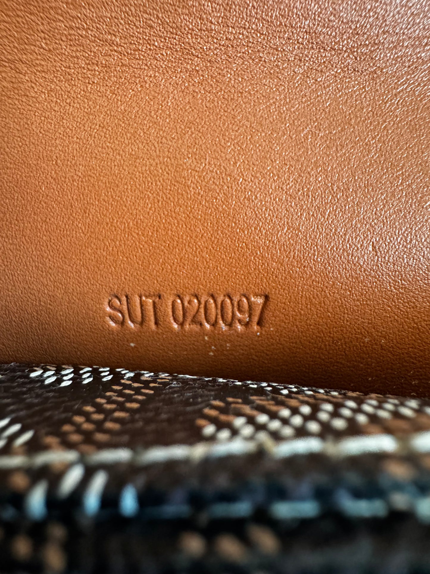 Goyard Saint Louis PM Tote Bag -Black & Tan